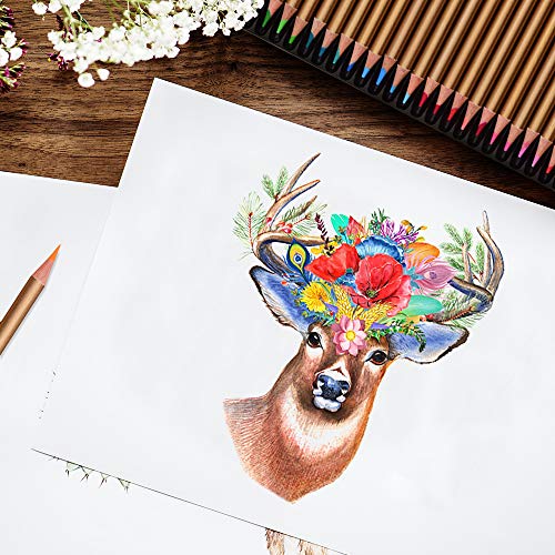 Aibecy Conjunto profissional de 72 lápis de cor pré-apontados solúveis em água com caixa de armazena