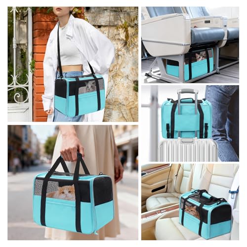 Image of JUNGYOUN Premium ​Cat Carrier - ​Pet Carrier for Cat & Small Dogs up to 15lbs - ​Airline Approved Travel Dog Carrier with Anti-Escape Zippers, Collapsible Travel Bowl & Padded Strap