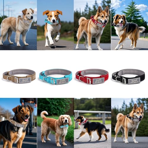 Hundehalsband Personalisiert Mit Metallschnalle und Reflektierendes Etikett, Leichtes Taktisches Personalisiert Hundehalsband für Große Mittlere Hunde, Benutzerdefinierte Hunde Halsband