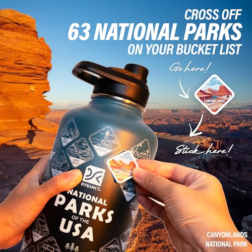 Insulated Water Bottle | Thickened Stainless Steel Vacuum Metal | Portable Sports Half Gallon Large Water Jug for Gym and Hiking with Straw, Carrier Bag, Handle Strap | BPA-Free 64 oz