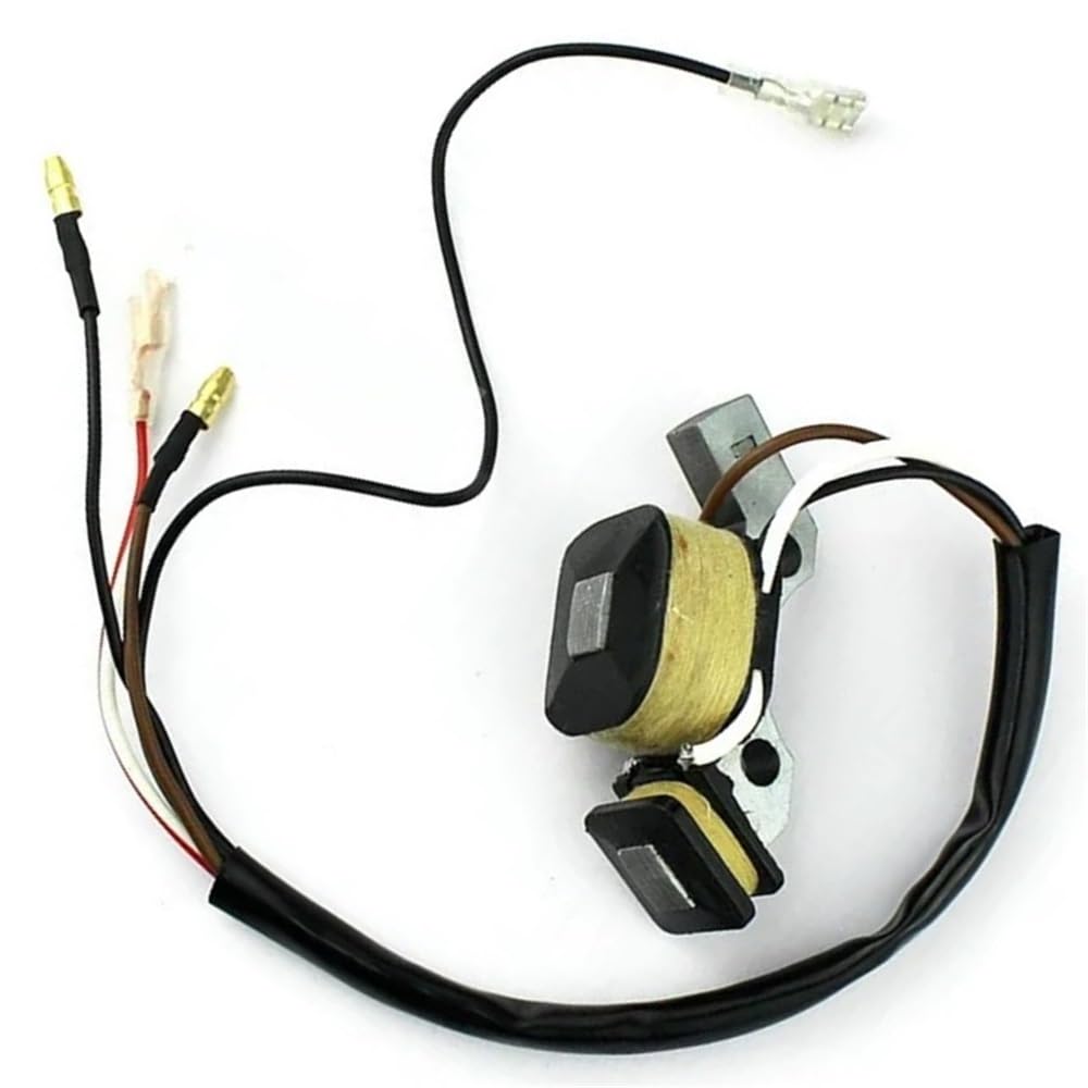 Ignition Coil with Magneto Suitable for ET950 ET650 IE45 TG950 450W 650W 800W 950W 1000W 2 Stroke Generator (As show1)