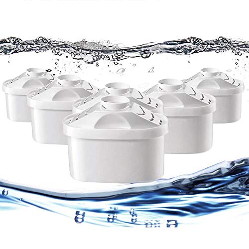Water Filter Replacement Cartridges (6-Pack)
