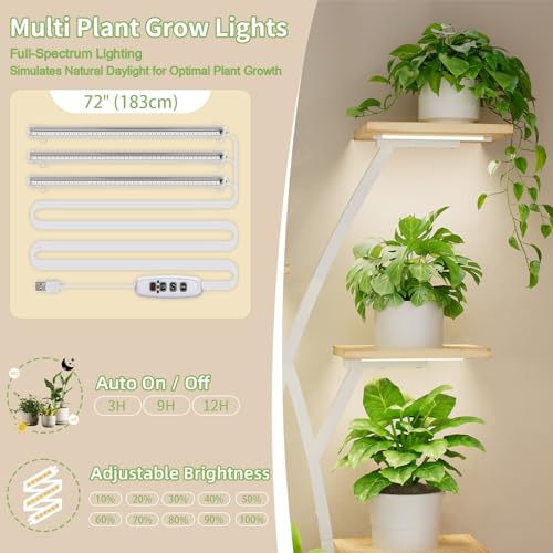 BACEKOLL Pflanzenständer mit Wachstumslicht - 7 Ebenen Blumenständer 105cm Metall Holz Pflanzenregal - Innen & Außen Blumentreppe… – Ansicht 6