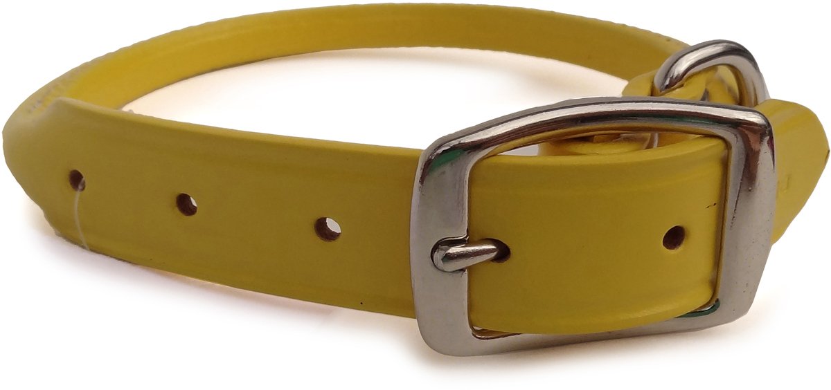 Auburn Leathercrafters Rolled Dog Collar - Yellow - 12