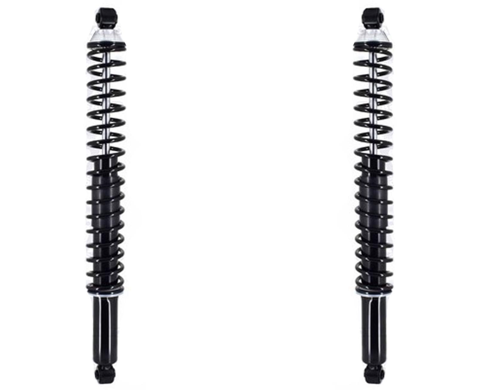 Rear Shocks Absorber W/Coil Spring For Ford F-150 2009-2014 4 Wheel Drive