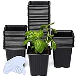CARPATHEN 60Pack Square Nursery Pots - 3.8 Inch Reinforced Nursery Pots for Plants with Drainage - Reusable Seed Starter Pots for Flowers, Vegetables - Seedling Pots Kit with 10 Plastic Reusable Tags