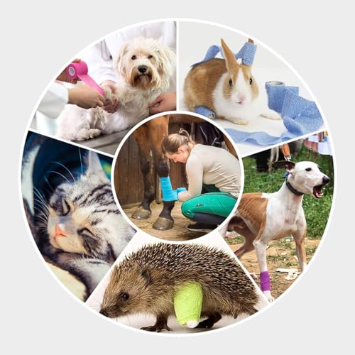 Image of WePet Pet Wrap, Self-Adhesive, Only Sticks to Itself, Non-Woven Tape for Dog Legs, Paws, Wounds, First Aid Cohesive Gauze for Horse, Cat, Bird, Animal, 6 Rolls, 2 Inch, Solid Color