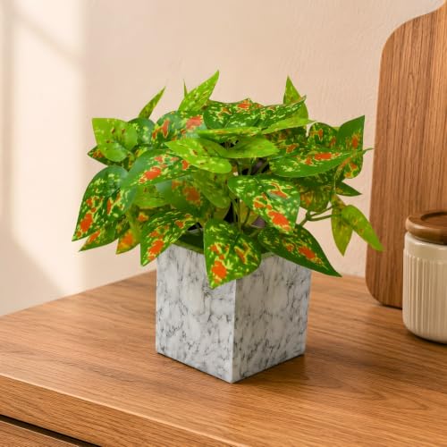 Image of fancymart Artificial Plant with Real-Touch Leaves in Pot, 25 cm, Indoor Tabletop Item for Home Decor, Office, Living Room