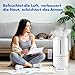 GuterWal Humidificador L4 Imagen de GuterWal Humidificador L4