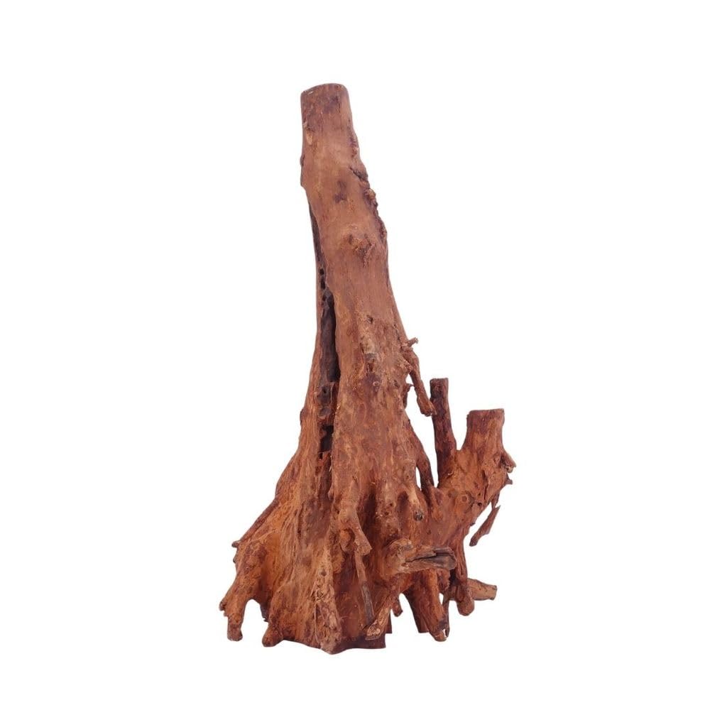 AquaOne Aquarium Wurzel L Jungle Wood Nr.4516 Aquarium Wurzel Holz Deko Aquascaping Dekoration Landschaft Moos Natur Echtholz