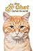 Mon Chat Carnet de santé: Chat Domestique Orange | 109 pages 15cm x 23cm A5 | Cahier à Remplir | Vaccinations | Suivi Médical | Visites Vétérinaires | ... | Contacts | Pour les amoureux des chats