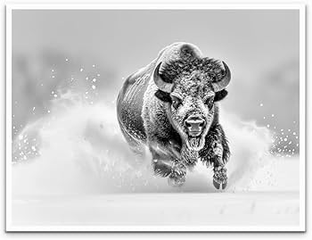 Amazon.com: Buffalo Wall Artist Park Canvas Picture Bison Print