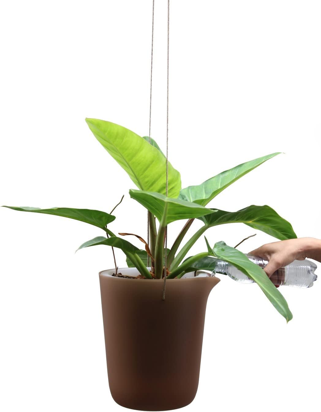 QUALY Self-Watering Flower Pot, White, 10x13 cm