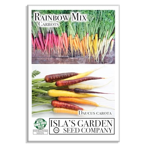 Rainbow Blend Carrot Seeds – 500+ Heirloom Non-GMO Seeds, Colorful Varieties, by Isla’s Garden Seeds, Perfect for Home Vegetable Gardens, Fresh and Vibrant Harvest, Great Gift