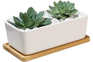 LANKER Rectangle 6.5 Inch Succulent Planter Pot
