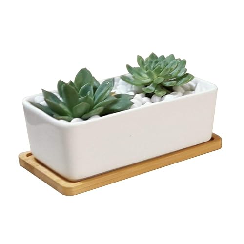 Rectangle White Ceramic Succulent Planter Pot with Bamboo Tray