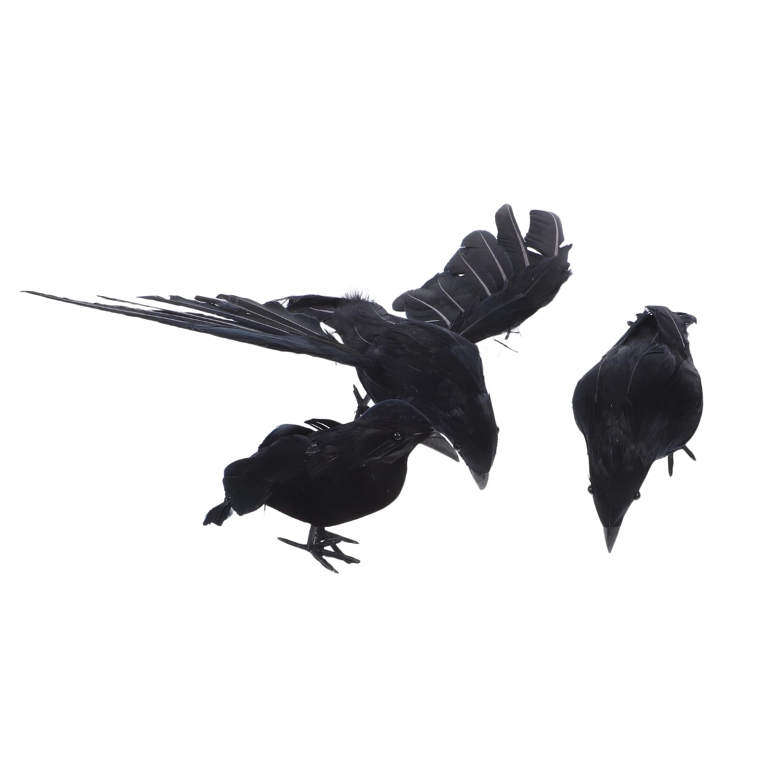 Corbeaux noirs réalistes à plumes pour votre décoration d'Halloween