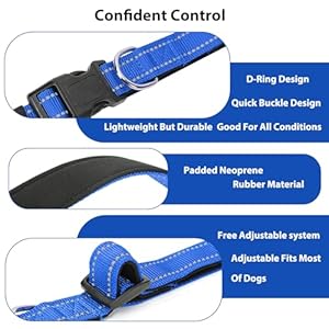 Reflective Dog Collar Padded with Soft Neoprene Breathable Quick Release Basic Dog Collars for Medium Dogs Blue Boy Girl  Cucciolini Doodles Reflective dog collar padded with soft neoprene breathable quick release basic dog collars for medium dogs blue boy girl   cucciolini doodles