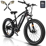 Electric Bikes Rear Hub Motor