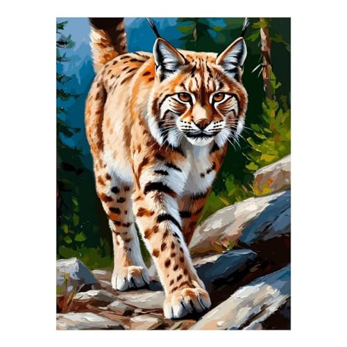 Peinture diamant lynx activité anti-stress loisirs créatifs 30x40