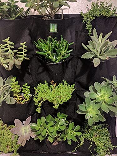 Delectable Garden Cloth 12 Pocket Hanging Vertical Garden Wall Planter for Yard Garden Home Decoration - Image 5