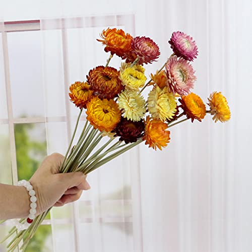 Ramo de flores secas naturales margaritas 40 pcs miniatura 4