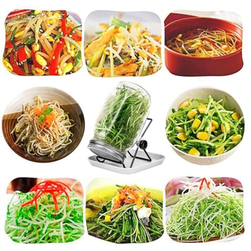 Image of HASTHIP Seed Sprouting Jar with Lid 32Oz Glass Sprouting Mason Jar with Shading Sleeve Ventilation Stainless Steel Mesh Lid Reuseable Glass Sprouting Mason Jar for Edible Sprouts, Mung Beans, Lentils