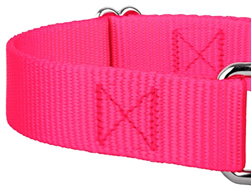 Country Brook Petz - Hot Pink Martingale Heavy Duty Nylon Dog Collar - 21 Vibrant Color Options (1 Inch Width, Large) #TOP7