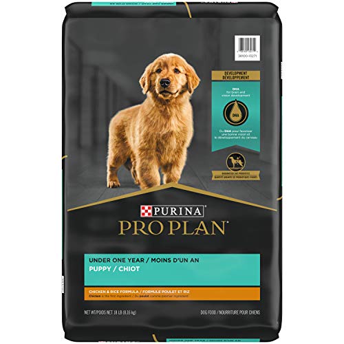 What is the Best Tasting Dogs Food for Picky Dogs? Best Family Pets