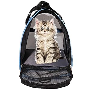   Pet-Carrier-Cat-Cattier-Soft-Sided-Carriers-for-Cat-Carriers-Dog-Carrier-for-Small-Medium-Cats-Dogs-Puppies-Pet-Carrier-Airline-Approved-up-to-15-Lbs-Cat-Dog-Pet-Travel-Carrier-Medium-Blue