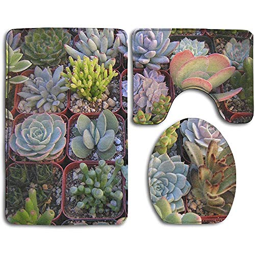 Preisvergleich Produktbild GABRI Fleischige Topfpflanzen 3-teiliges Set Flanell Rutschfester Badezimmerteppich Konturmatte Absorbierende Toilettenmatte Deckeldeckel Set Schildkröte