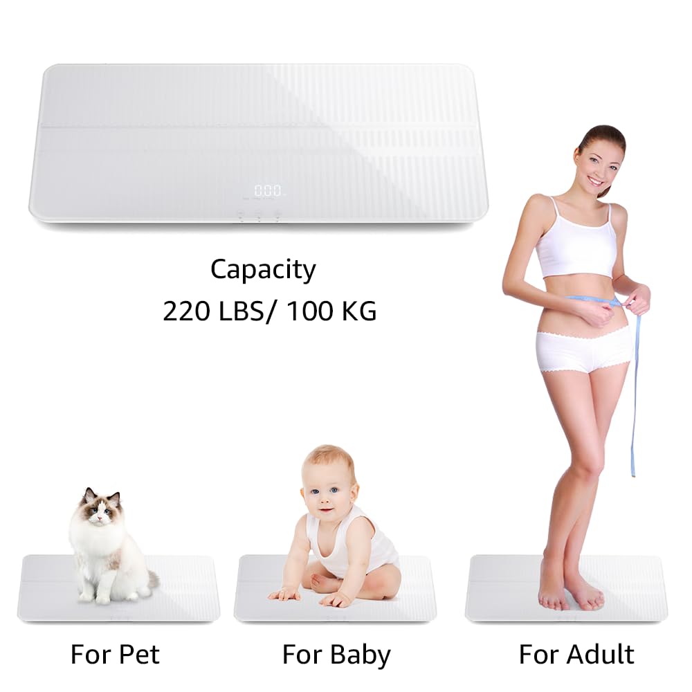 https://m.media-amazon.com/images/I/51vPas7zS2L.jpg