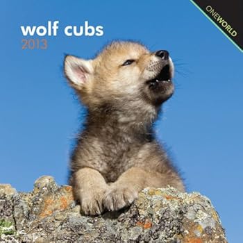 Calendar Wolf Cubs Calendar 2013 (Oneworld) Book