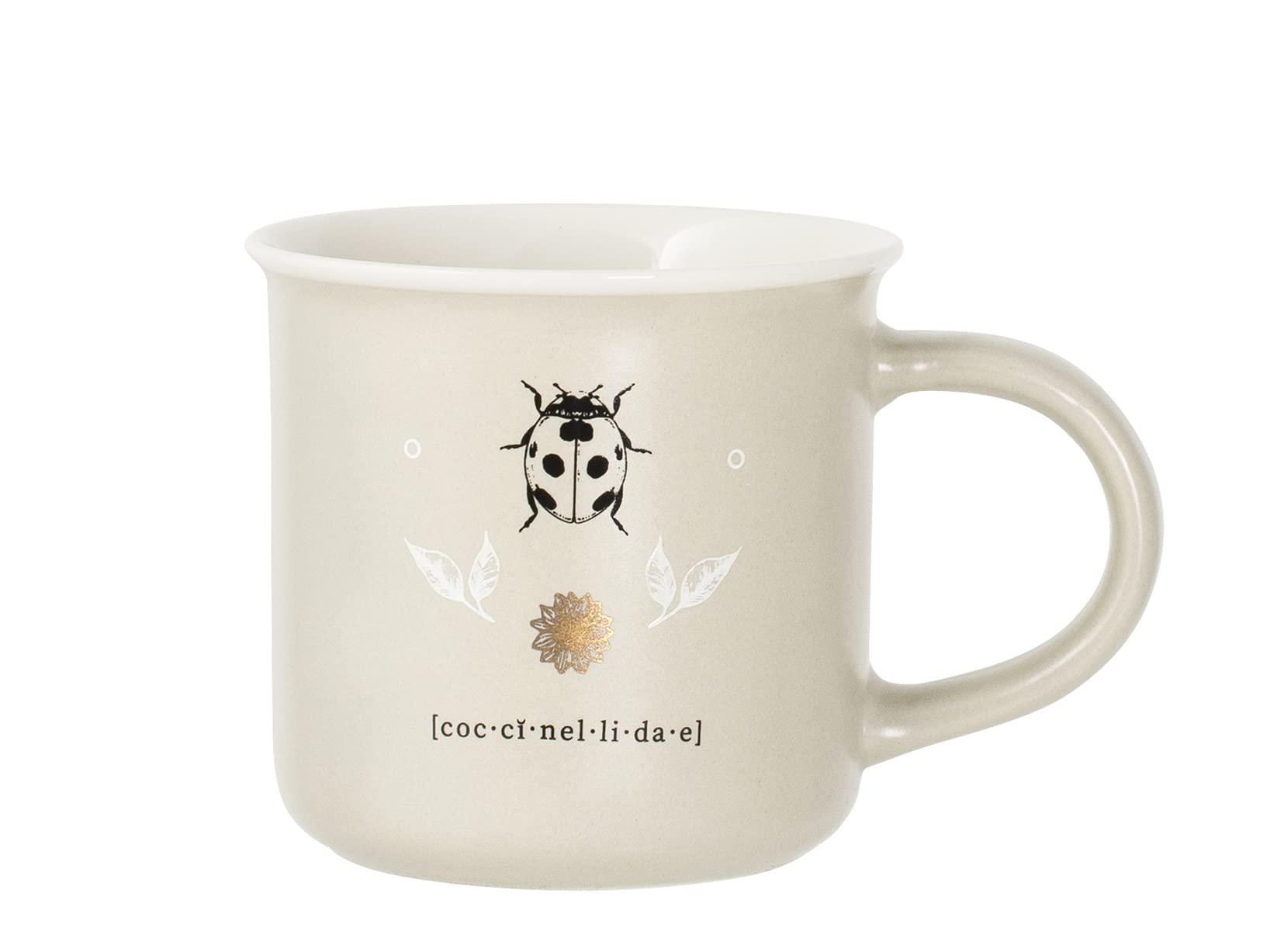 H&H Botanicum Lot de 6 tasses t en porcelaine neuve, 220 cc