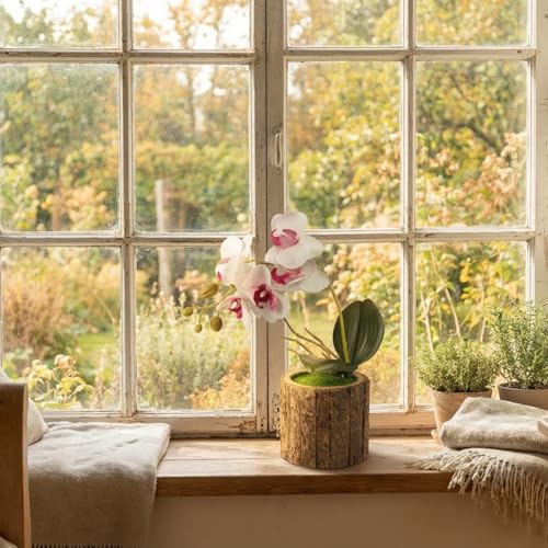 Image of Dekorly Artificial Orchid Flower Plant with Decorative Pot | 1 Stick Faux Orchid Plant | 20 cm Tall Indoor Tabletop Decor for Home, Living Room, Office Desk, Shelf, Hotel & Gift Decoration (White)