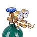 Oxygen Acetylene Torch Kit,Portable Professional Oxy Acetylene Torch Kit with Gauge Gas Tank Tote,Oxy Welding Cutting Torch Kit,Long Pipe Brass Nozzle