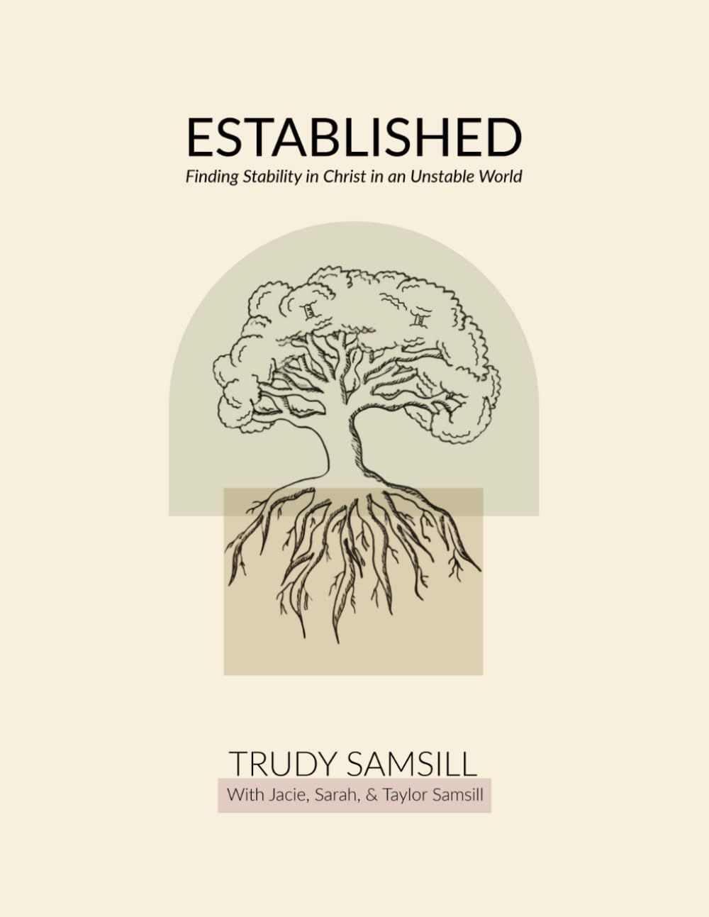 ESTABLISHED: Finding Stability in God in an Unstable World