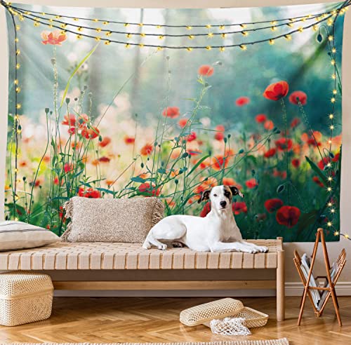 Ambesonne Nature Tapestry, Wild Red Poppy Flowers Field Summertime Sunbeams Gardening Bedding Plants, Wide Wall Hanging For Bedroom Living Room Dorm, 80" X 60", Red Green Yellow #TOP25