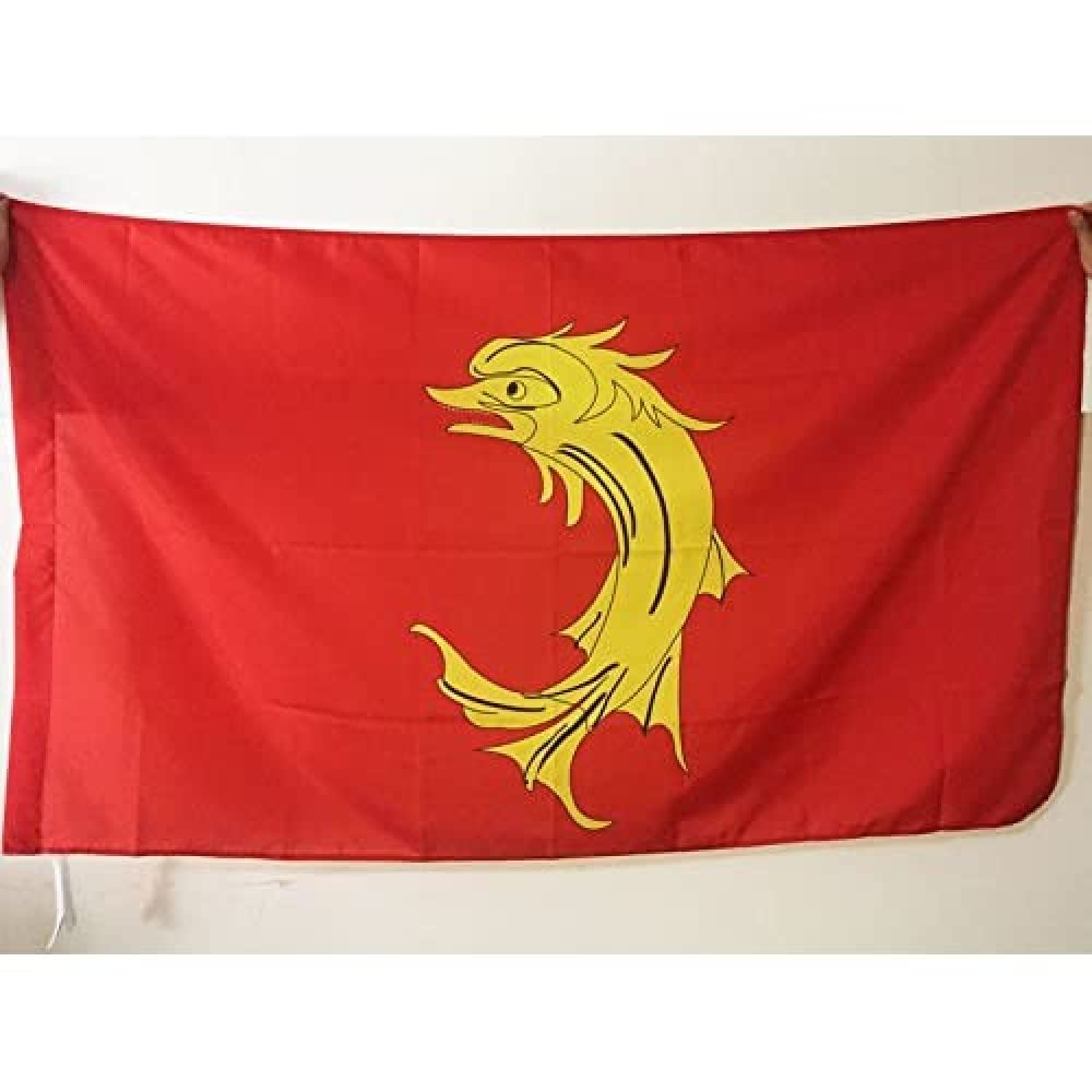 AZ FLAG, Loire Flag, 2x3 Ft, French department Banner with Sleeve, 100% Polyester, Fade Resistant, Vivid Colors, 2' x 3' Feet