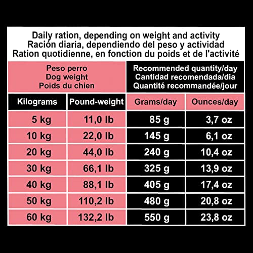 Arquivet Original Adult – Futter für ausgewachsene Hunde – Lachs und Reis, 3 kg (1 Stück)