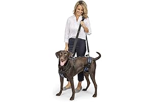PetSafe CareLift Support Harness: Enhanced Mobility for Your Dog