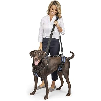 dog assist harness