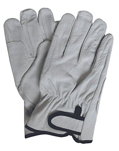 [kCIWi] 3oZbg 3L rbNTCY  v Ɨp NXg}WbNEAet i