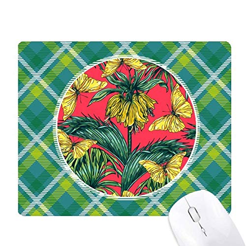 Flower Plant Leaf Pink Butterfly ΂̊iq̃sNZS̃}EXpbh