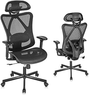 SUNNOW Ergonomic Office Chair, Mesh Desk Chair with Lumbar Support - 3D Armrest