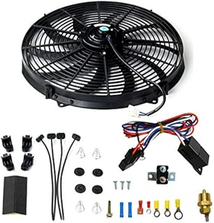 BLACKHORSE-RACING 16