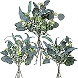 16 Pcs Mixed Eucalyptus Leaves Picks Bulk Artificial Silver Dollar Eucalyptus Leaves Branches Faux Green Stems for Vase Bouquet Wreath Floral Arrangement Wedding Rustic Farmhouse Greenery Decoration