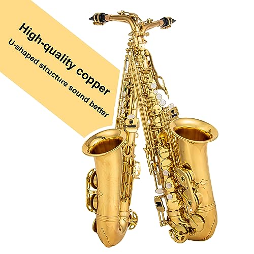 Cadway Alto Saxophone Eb beginner Saxophone includes brush canvas suitcase glove whistle piece cork plaster wipe cloth neck strap and other accessories (Gold) by CADWAY - Used condition - Image 5