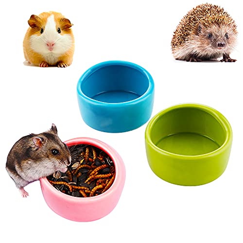 Can Hedgehogs Eat Cabbage? (Benefits, Hazards & More) Tiny Pet Tales