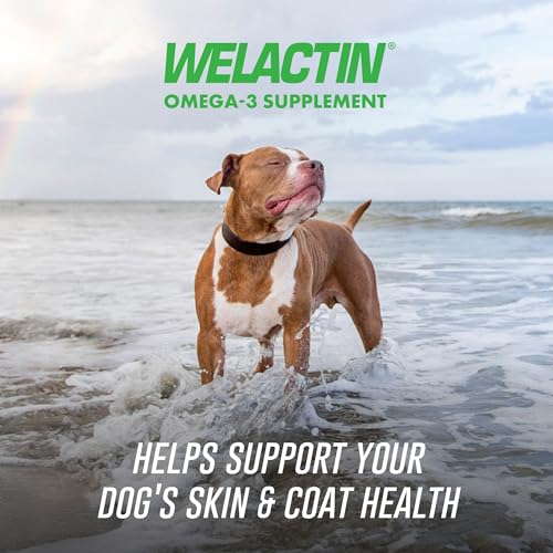 Nutramax Welactin Omega 3 Fish Oil for Dogs, Skin and Coat Health Supplement, Plus Immune and Overall Health, Premium Omega 3 Fatty Acids, Multivitamin For Dogs, Soft Chews, 60 Count - Image 3
